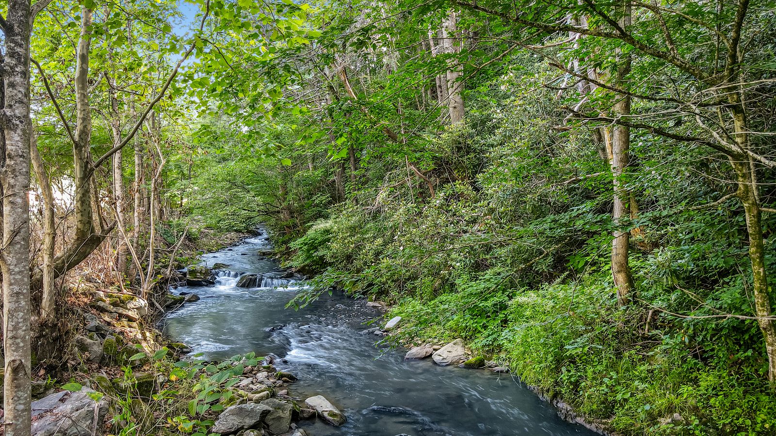 4389 Old Asheville Highway — photo 4